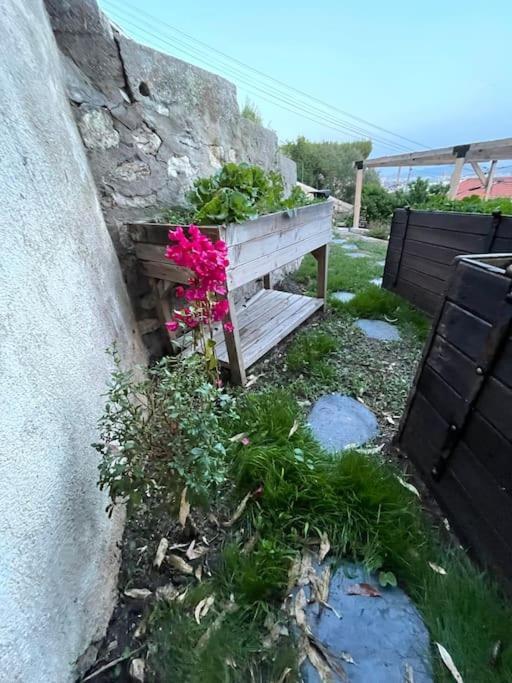 Superbe Terrasse Avec Vue Panoramique Sur La Mer Marseille Extérieur photo