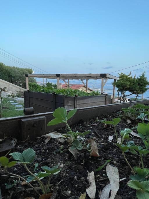 Superbe Terrasse Avec Vue Panoramique Sur La Mer Marseille Extérieur photo